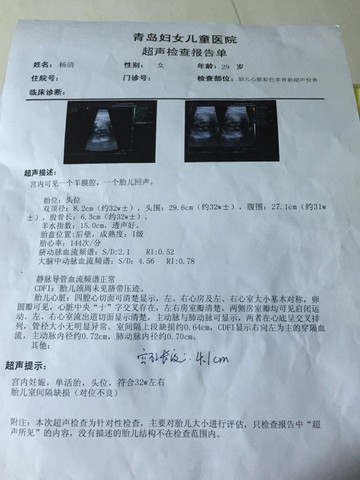 journal_insert_pic_493447853