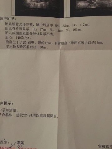 journal_insert_pic_493310551