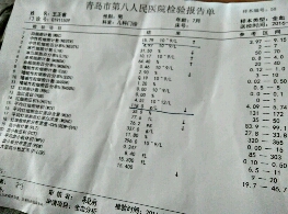 journal_insert_pic_493220117
