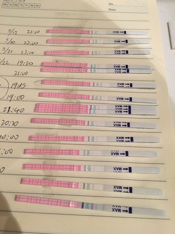 journal_insert_pic_494338850