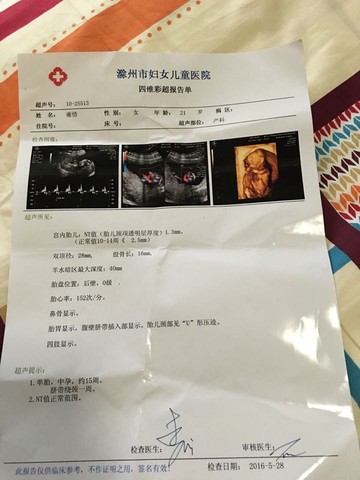 journal_insert_pic_493833044