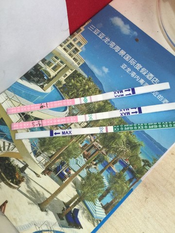 journal_insert_pic_495133201