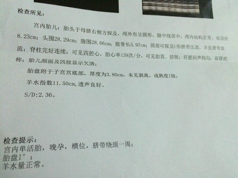 journal_insert_pic_496231185