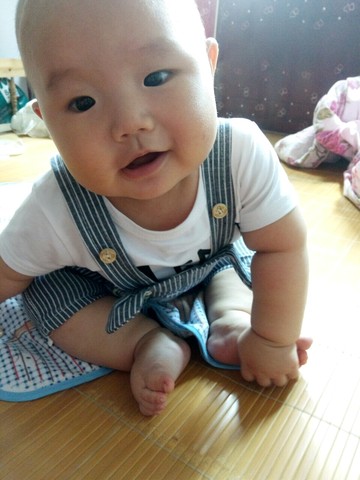 journal_insert_pic_496130147