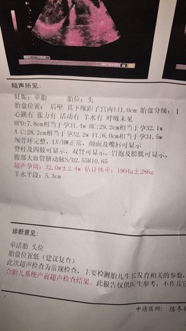 journal_insert_pic_495849969