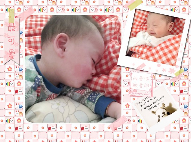 journal_insert_pic_496877812