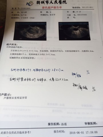 journal_insert_pic_497935927