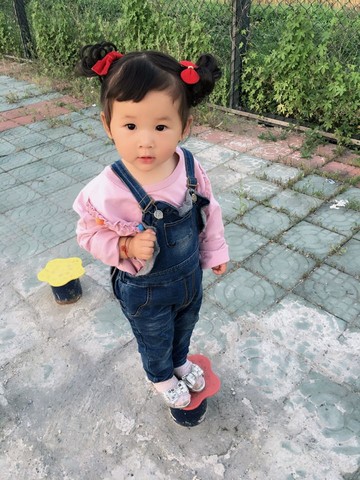 journal_insert_pic_499891713