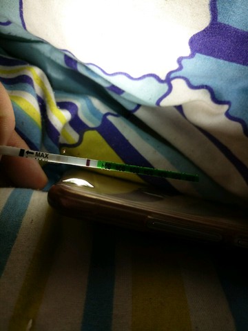 journal_insert_pic_500240636