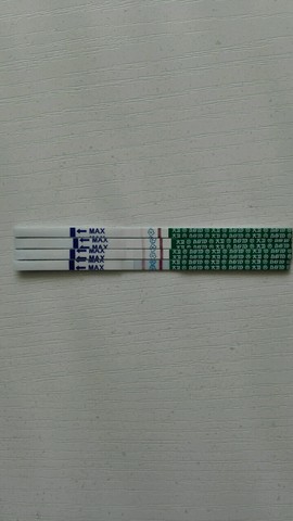 journal_insert_pic_500724859