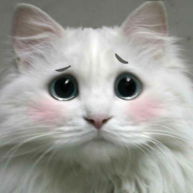 微信用户_42b3w8yv