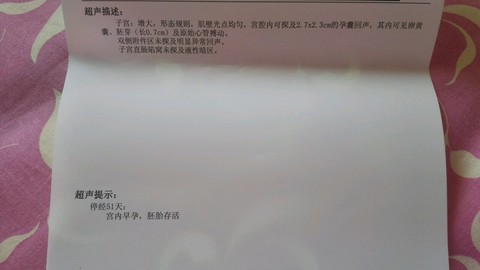 journal_insert_pic_501809771