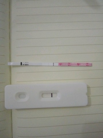 journal_insert_pic_502688101