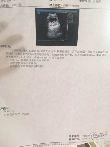 journal_insert_pic_502445121