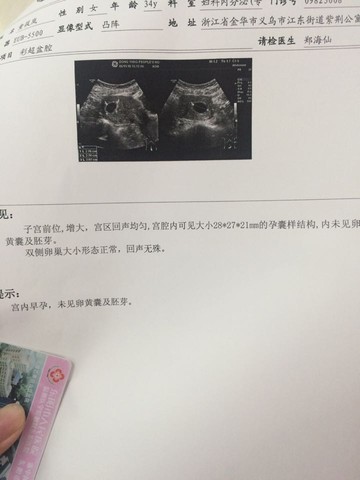 journal_insert_pic_503922316