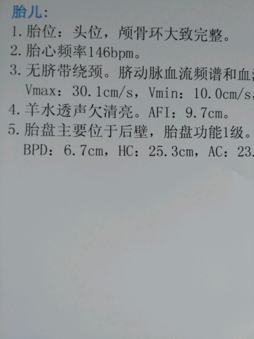journal_insert_pic_504165915