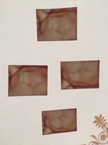 journal_insert_pic_504883267