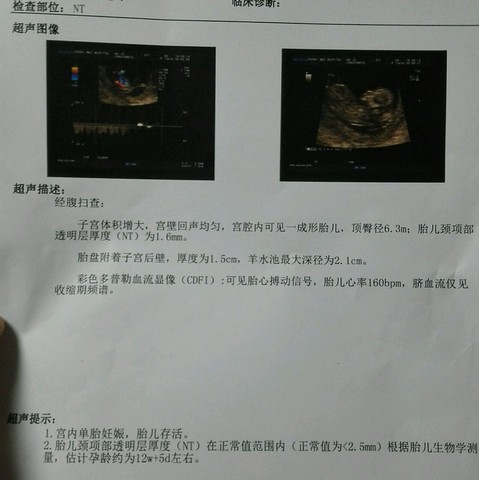 journal_insert_pic_505672258