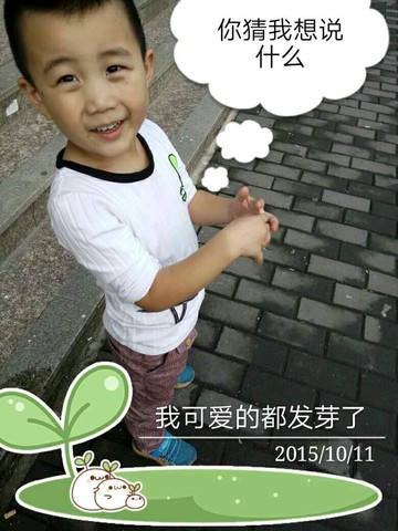 journal_insert_pic_506414017
