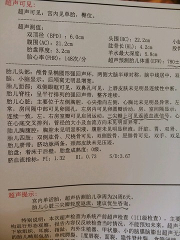 journal_insert_pic_506482011