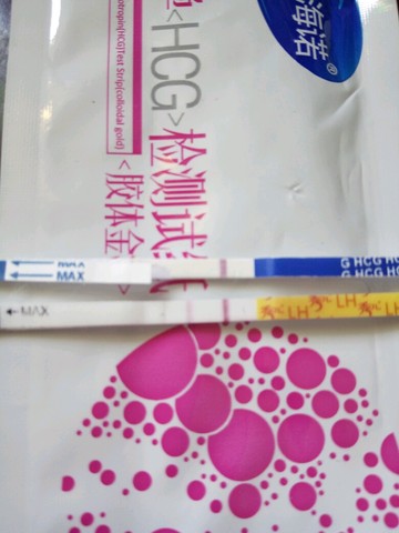 journal_insert_pic_507298358