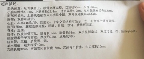 journal_insert_pic_507452000