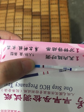 journal_insert_pic_507122758