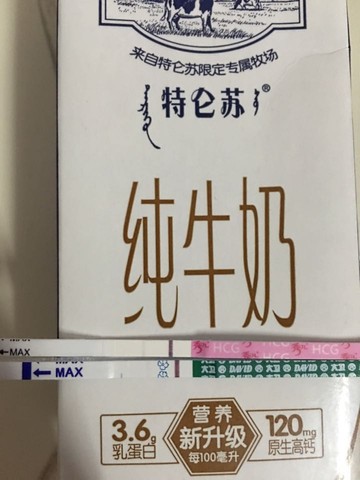 journal_insert_pic_509150252