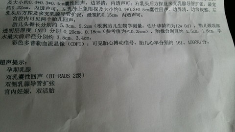 journal_insert_pic_509650235