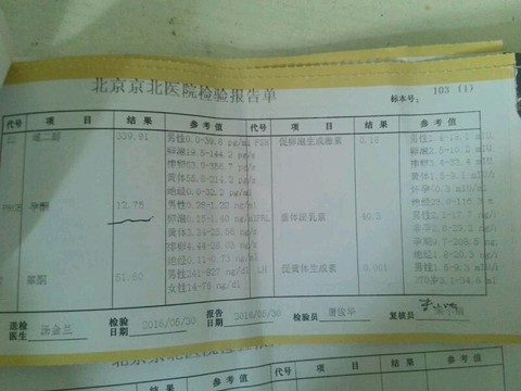 journal_insert_pic_509560003