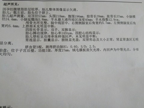 journal_insert_pic_511284834