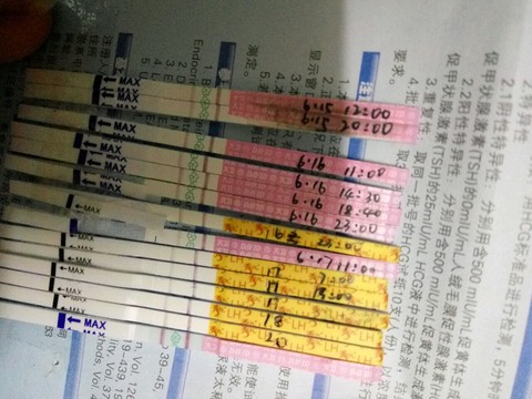 journal_insert_pic_511506429