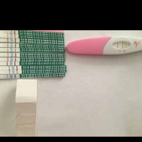 journal_insert_pic_510956255