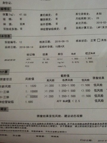 journal_insert_pic_512069213