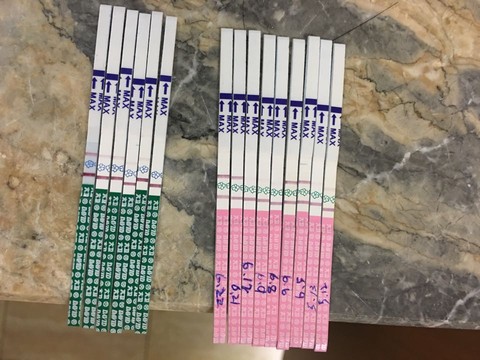 journal_insert_pic_512603799