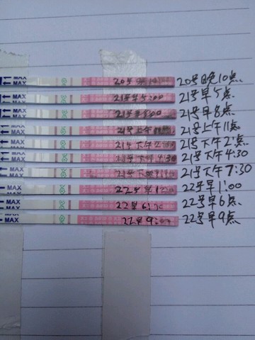 journal_insert_pic_512851244