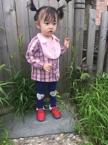 journal_insert_pic_515520911