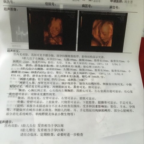 journal_insert_pic_516107477