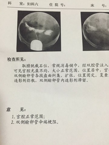journal_insert_pic_516157435