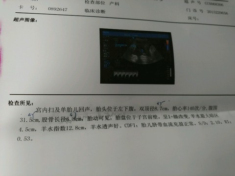 journal_insert_pic_515920978