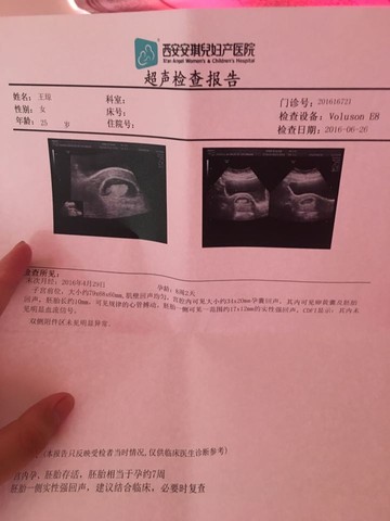 journal_insert_pic_515663027