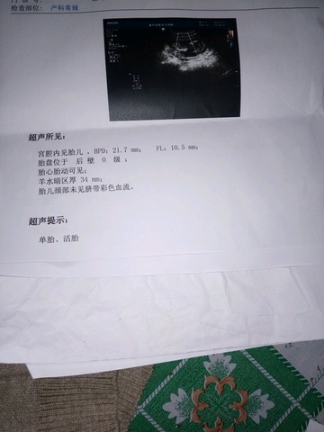 journal_insert_pic_518939045
