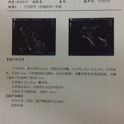 journal_insert_pic_519399537