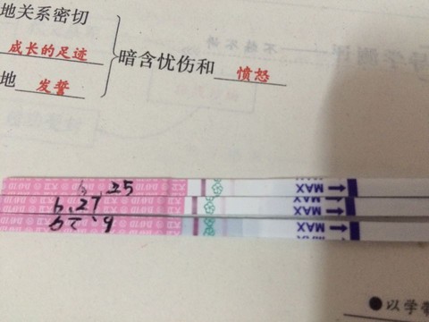 journal_insert_pic_521203031