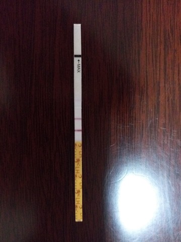 journal_insert_pic_520995481