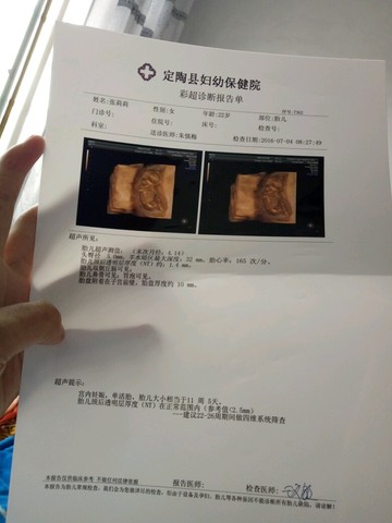 journal_insert_pic_521650345