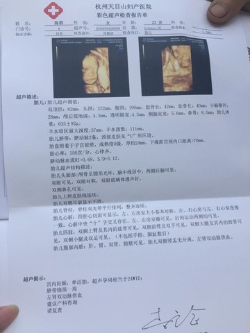 journal_insert_pic_522455085