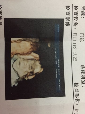 journal_insert_pic_523677912