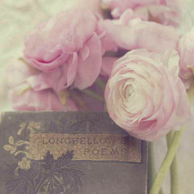 【报喜】我家宝宝出生了