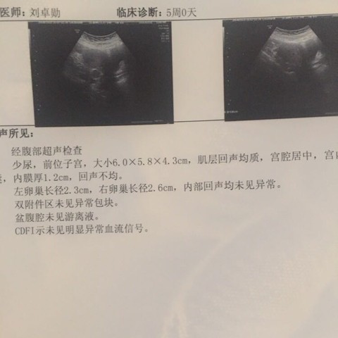 journal_insert_pic_524434555